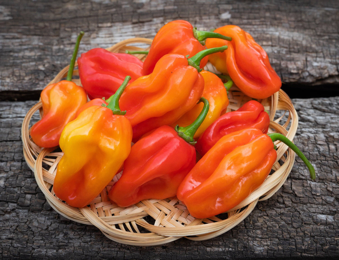 Pepper, Habanero Orange Seed Packets