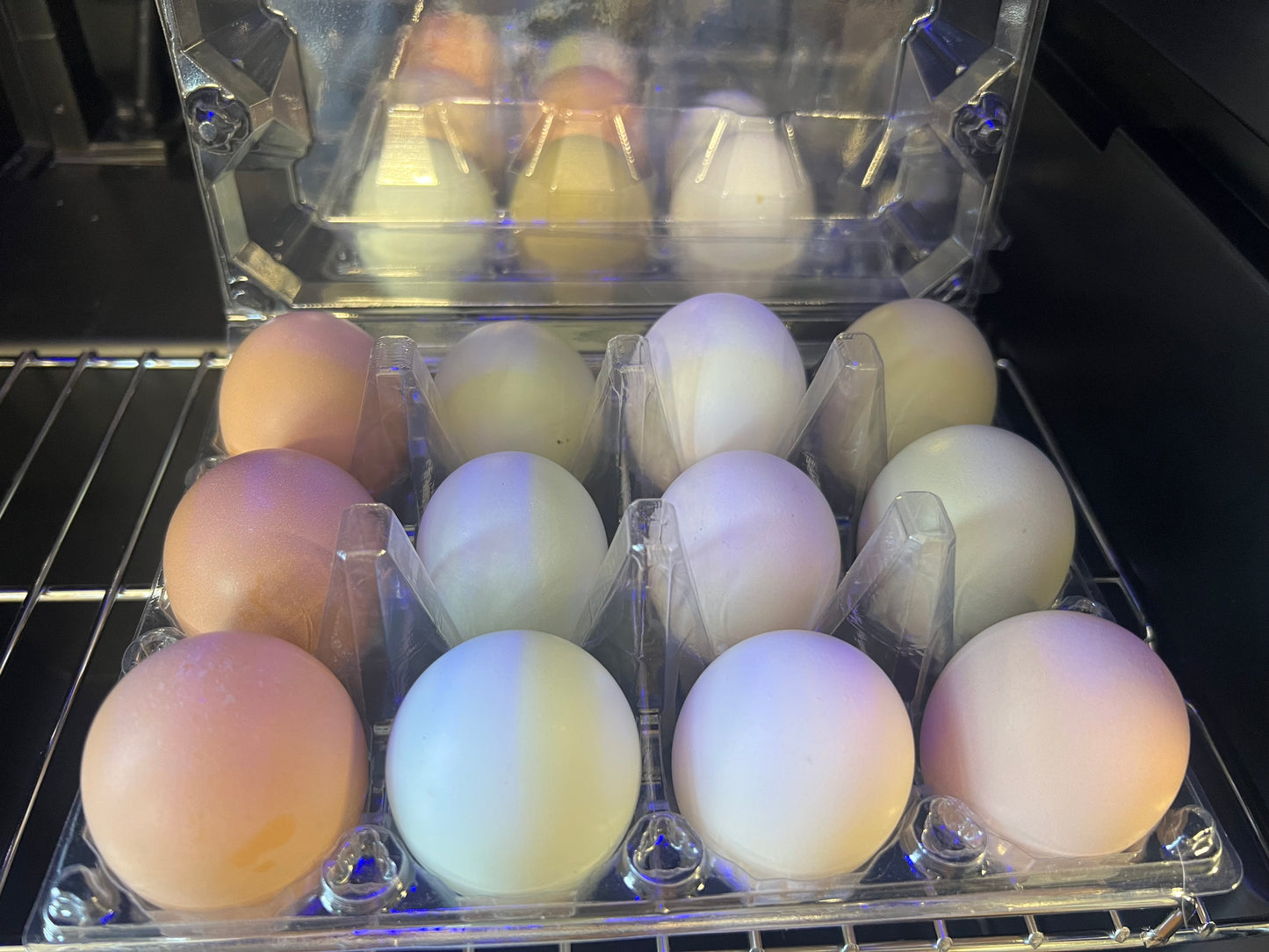 Dozen Fresh Eggs- colors vary
