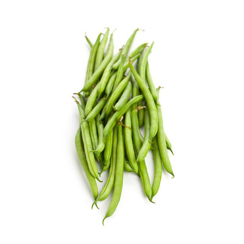 Beans, Kentucky Wonder Pole Bean Seed Packets