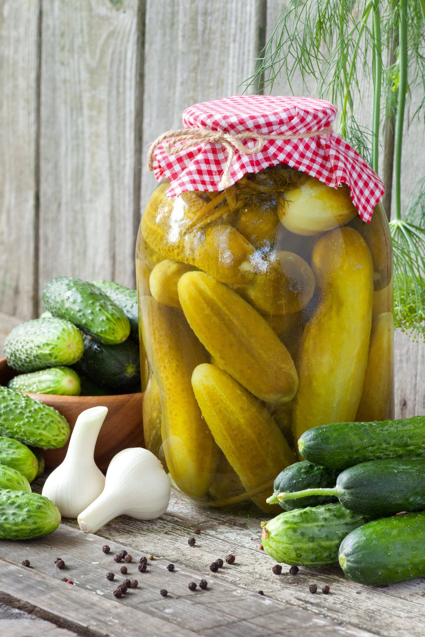 Cucumber, Boston Pickling Seed Packets