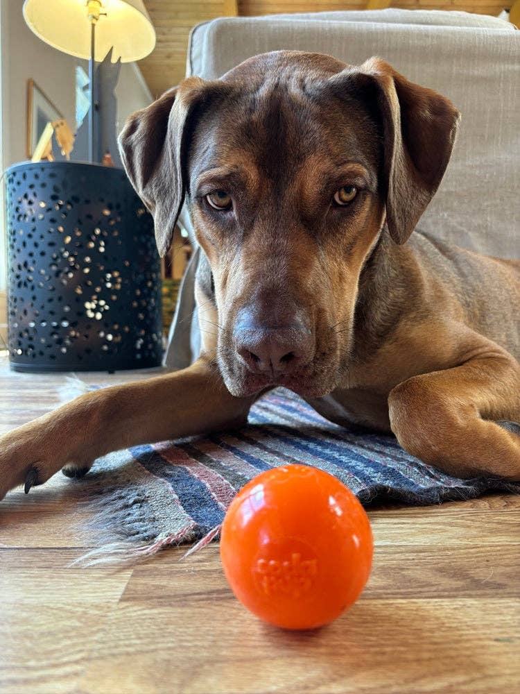 Squeak Ball Ultra Durable PUP-X Squeaking, Chewing, Floating & Retrieving Ball