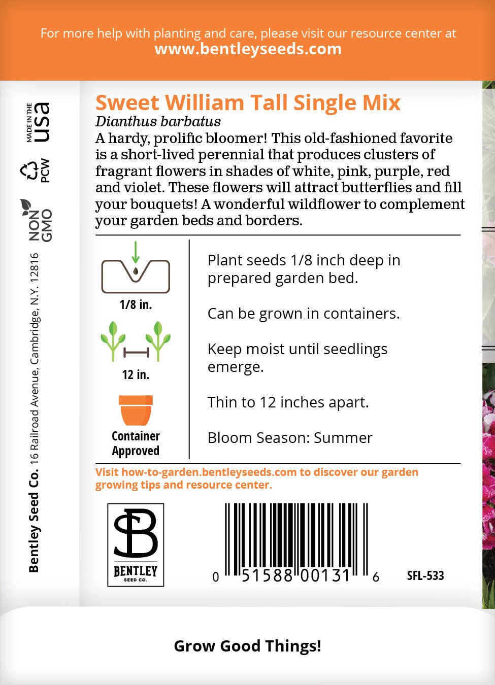 Sweet William-Tall Single Mix-Dianthus Barbatus