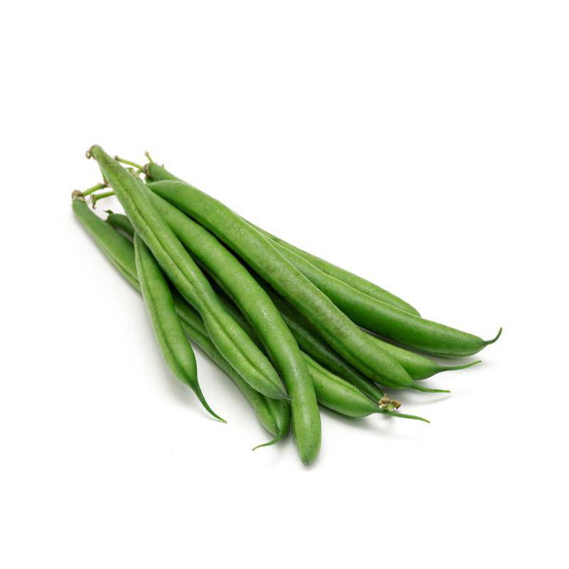 Beans, Provider Bush Bean Seed Packets