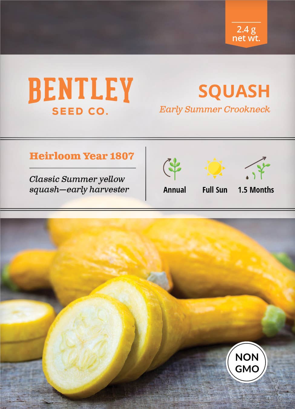 Squash-Yellow Crookneck