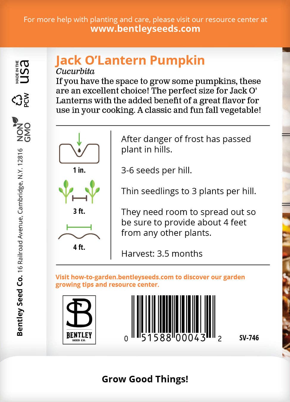 Pumpkin, Jack O' Lantern Seed Packets