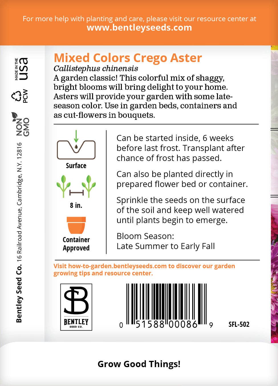 Aster, Crego Mixed Colors Seed Packets