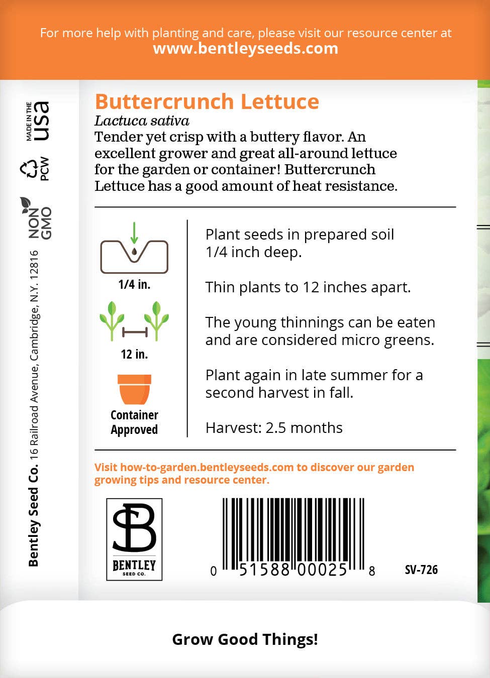 Lettuce, Buttercrunch Seed Packets