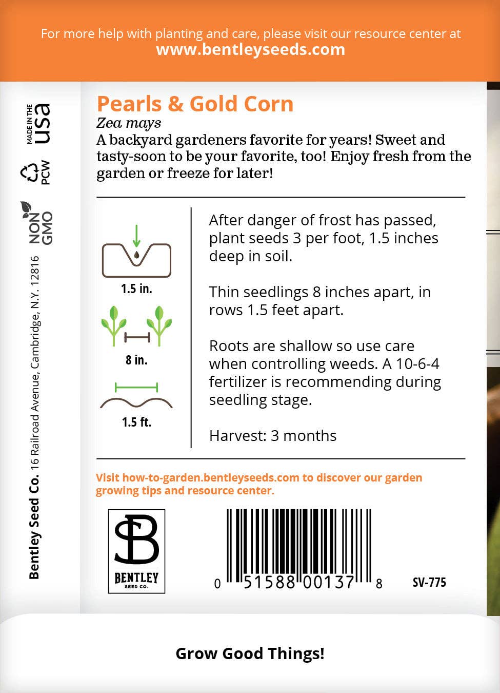 Corn, Pearls and Gold Seed Packets