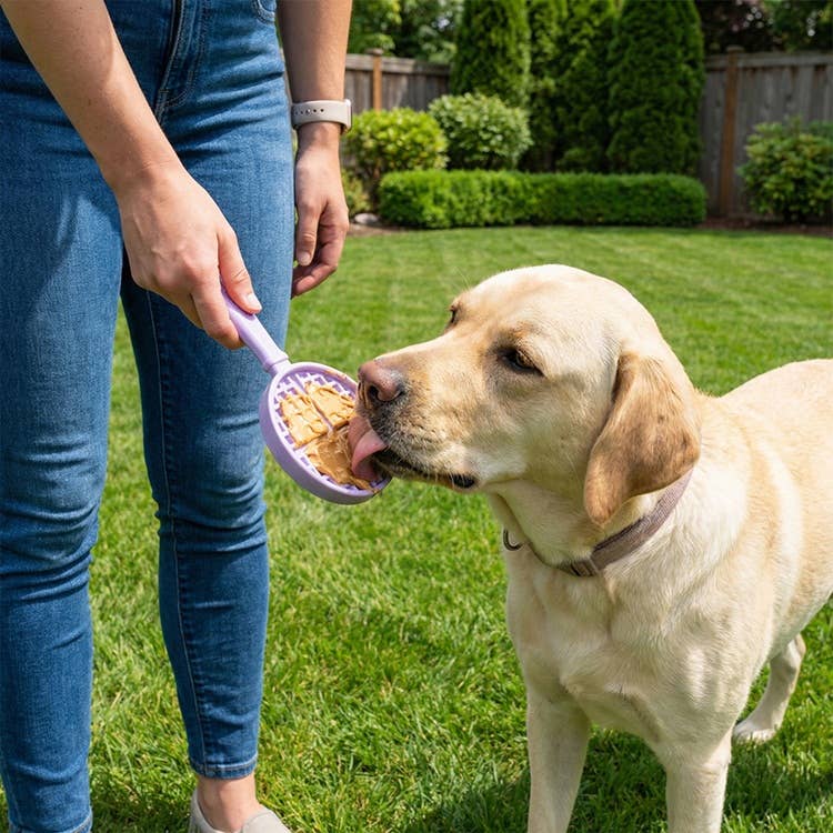 Lick Stick Hand-Held Interactive Enrichment Toys