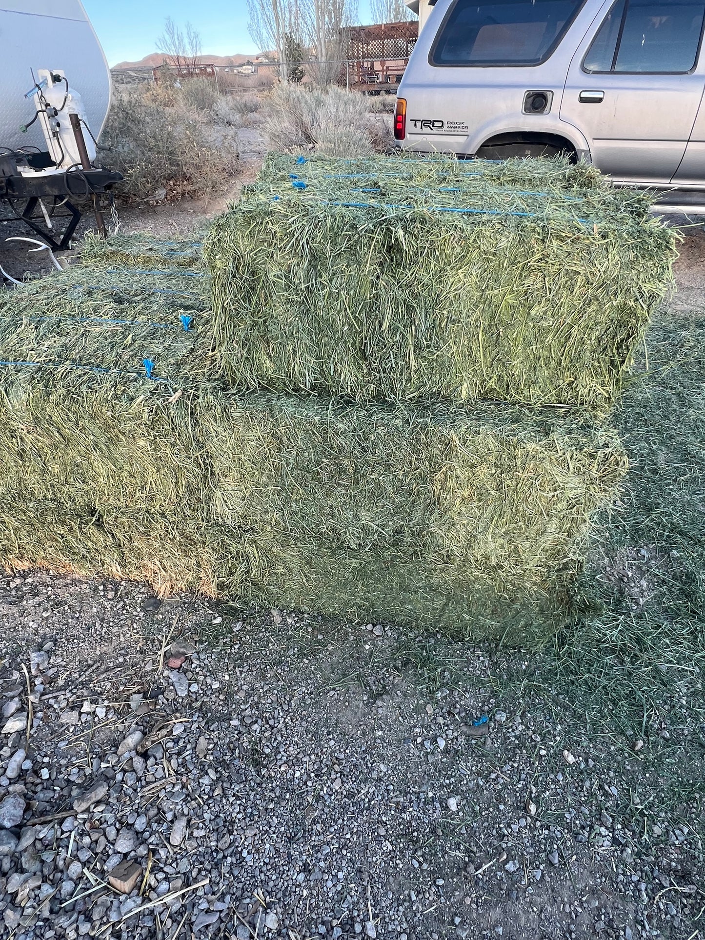 Orchard Alfalfa 2 String Bale approx 50 lb