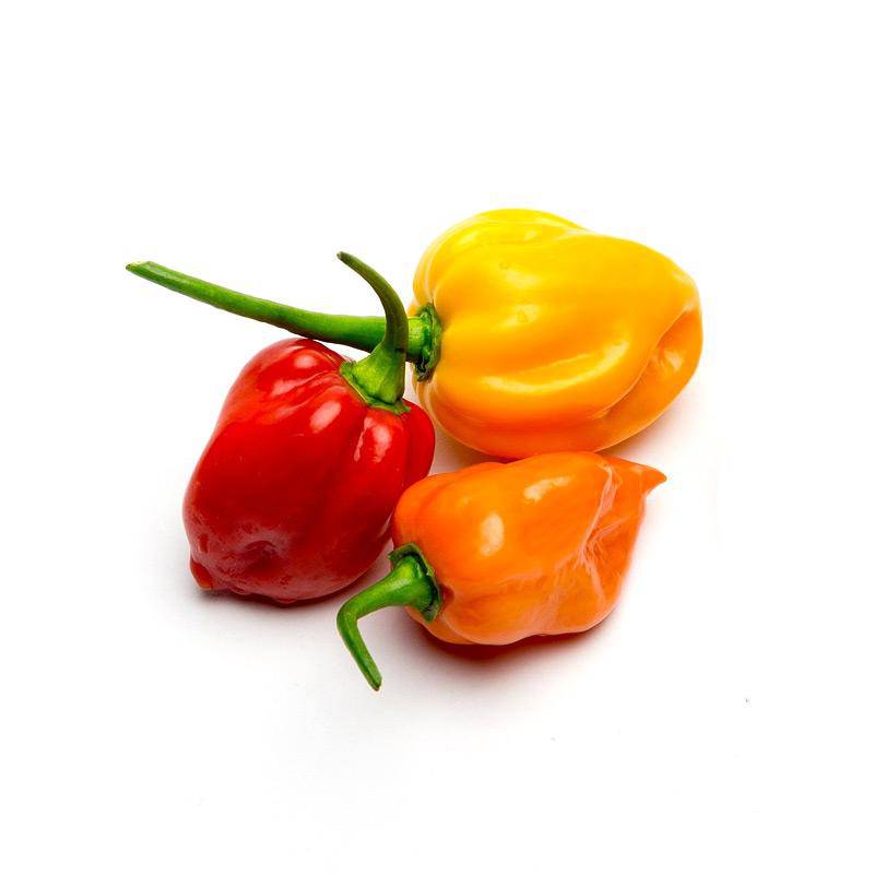 Pepper, Habanero Orange Seed Packets