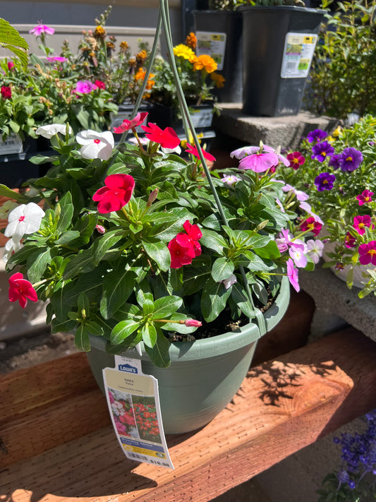 Vinca Hanging Flower Pot