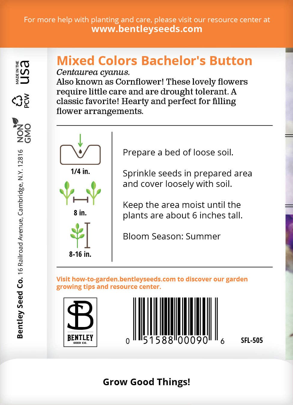 Bachelor's Button Flower Seed Packets