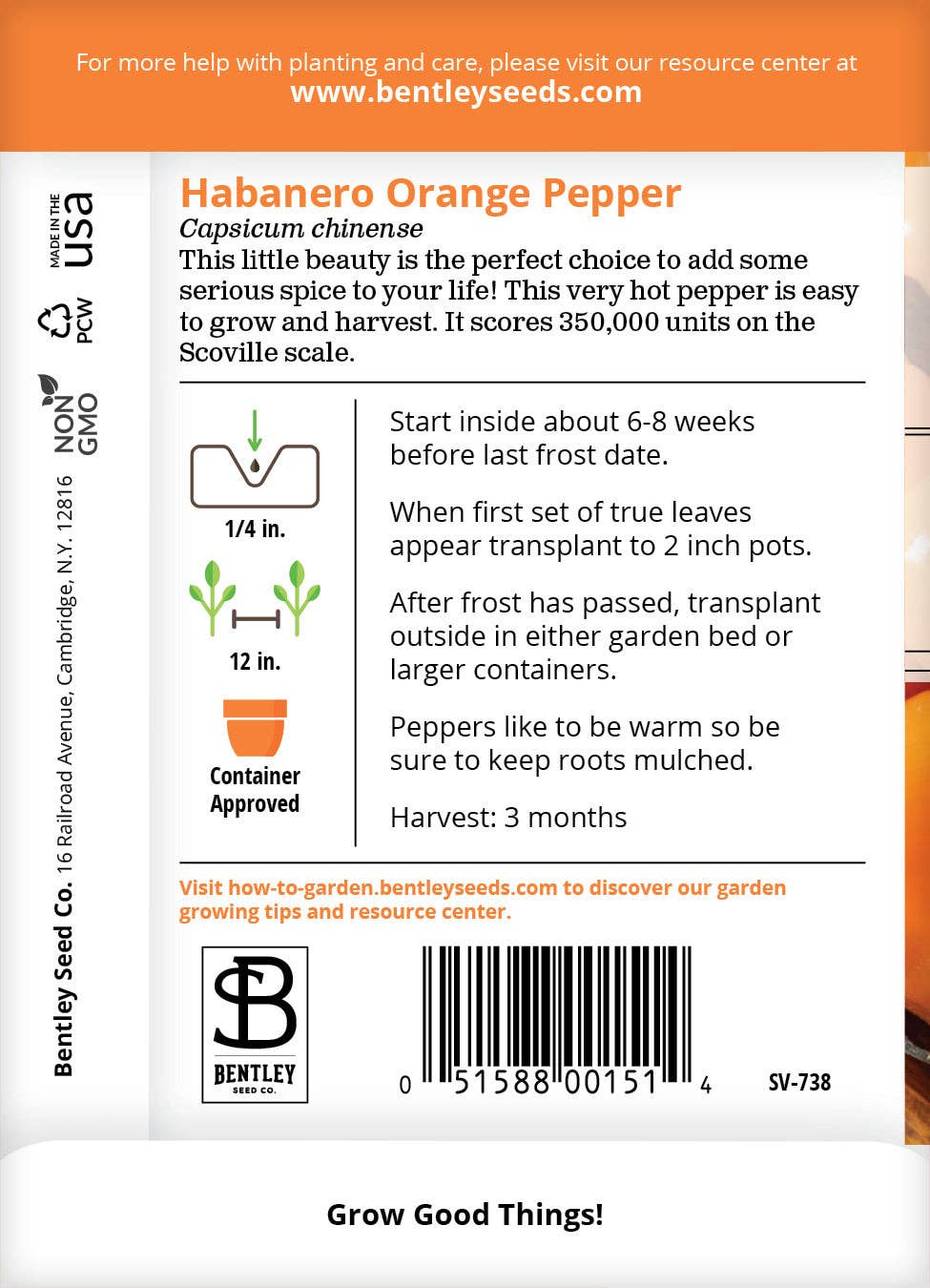 Pepper, Habanero Orange Seed Packets