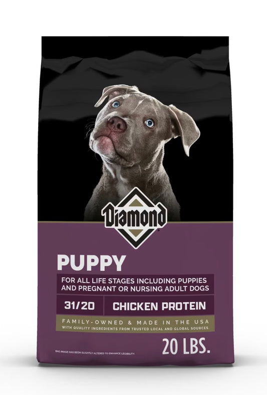 Diamond Puppy
