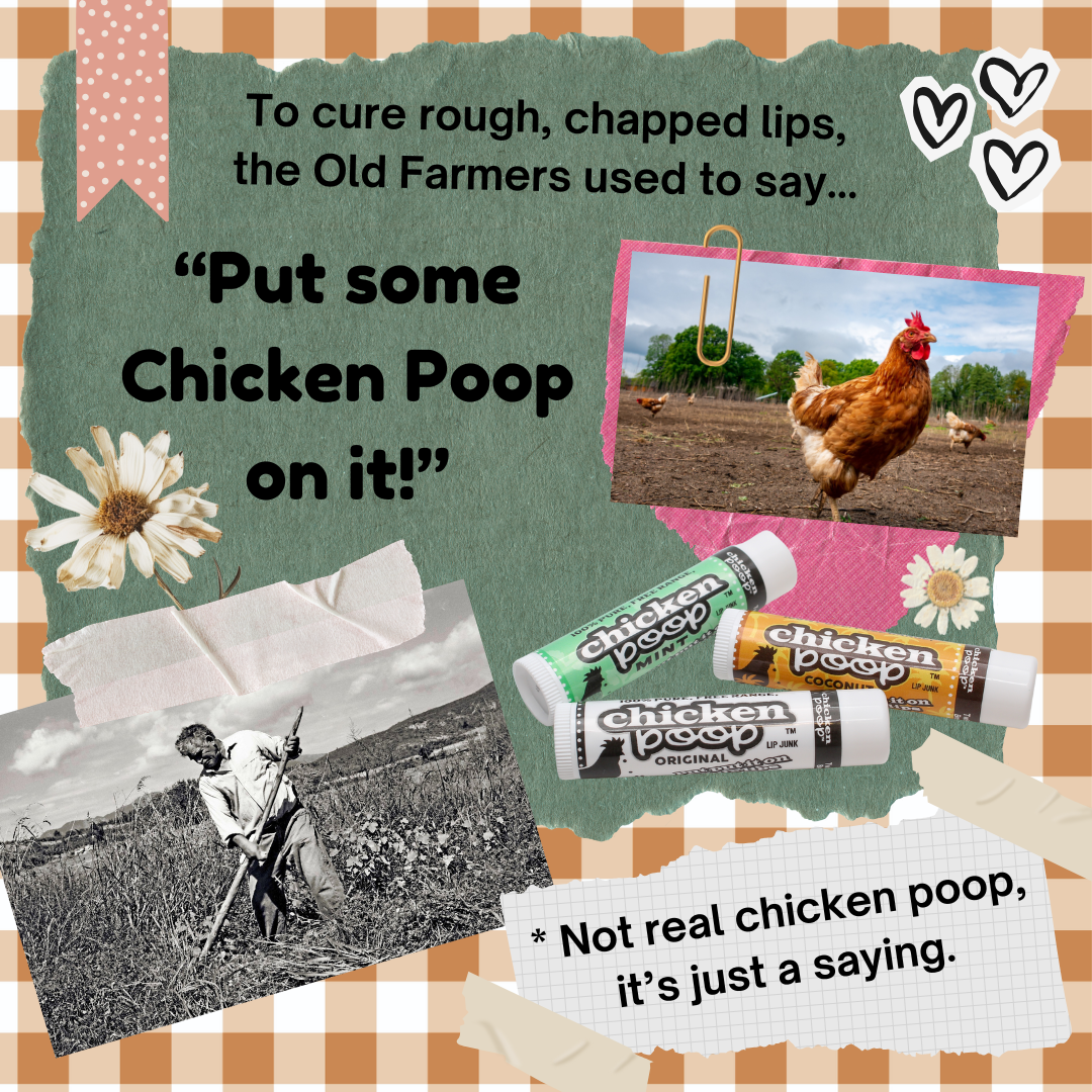 Chicken Poop® COCONUT Lip Balm, All Natural 24ct. CHICKEN