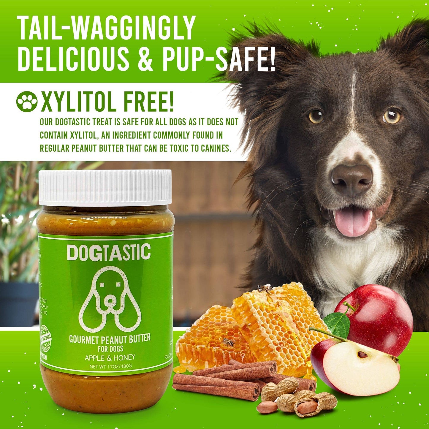 Dogtastic Gourmet Peanut Butter for Dogs - Pumpkin  Flavor