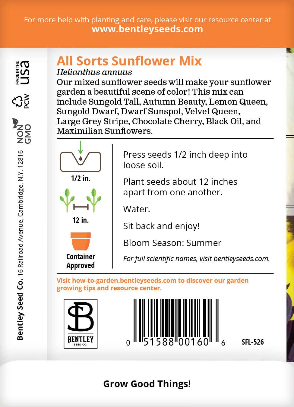Sunflower, All Sorts Mix Seed Packets