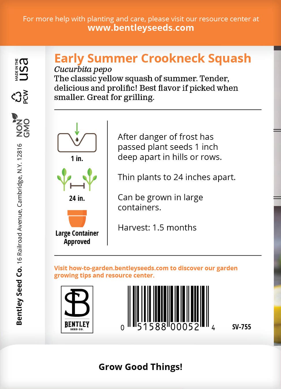 Squash-Yellow Crookneck