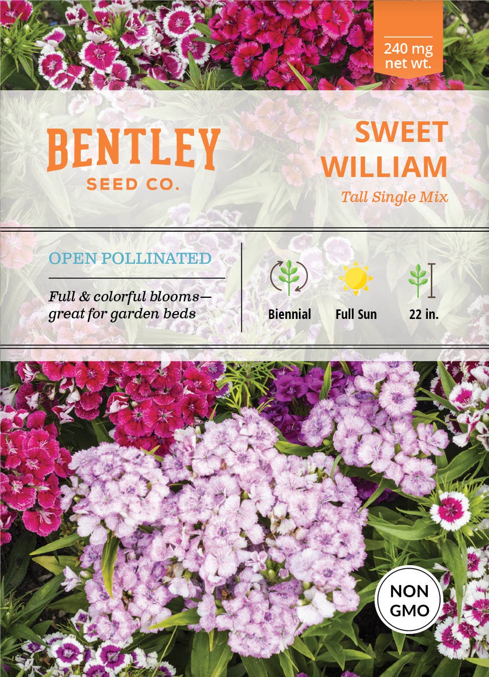 Sweet William-Tall Single Mix-Dianthus Barbatus