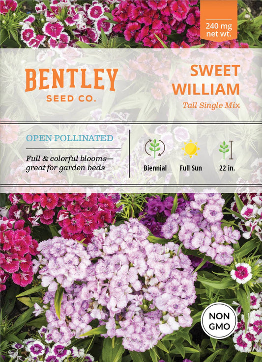 Sweet William-Tall Single Mix-Dianthus Barbatus