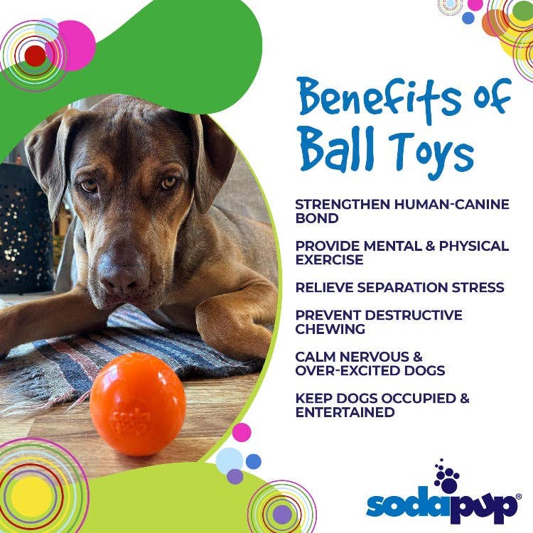 Squeak Ball Ultra Durable PUP-X Squeaking, Chewing, Floating & Retrieving Ball
