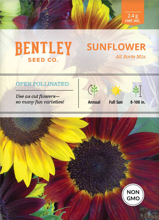 Sunflower, All Sorts Mix Seed Packets