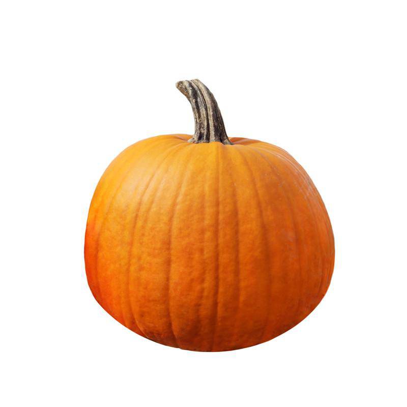 Pumpkin, Jack O' Lantern Seed Packets