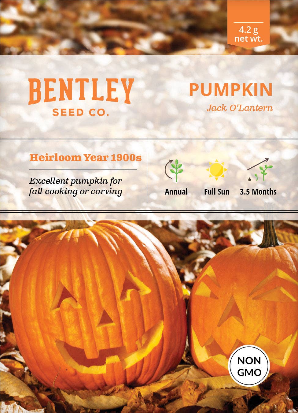 Pumpkin, Jack O' Lantern Seed Packets