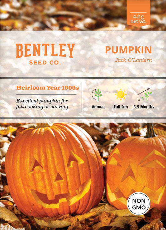 Pumpkin, Jack O' Lantern Seed Packets