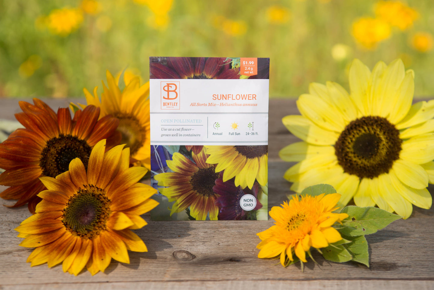Sunflower, All Sorts Mix Seed Packets